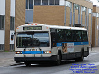 STM-13044.jpg