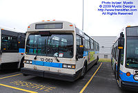 STM-13063.jpg