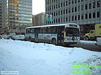 STM-11031.jpg