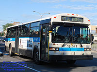 STM-13047.jpg