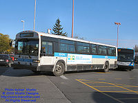 STM-12074.jpg