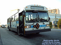 STM-13034.jpg