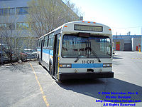 STM-11079.jpg