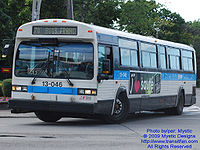 STM-13046.jpg