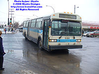 STM-13065.jpg