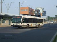 TRANSDEV-361307.JPG