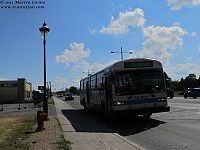 STM 15-005.jpg