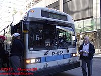 STM-13023.jpg