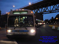 STM-13035.jpg