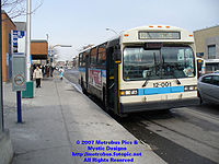 STM-12001.jpg