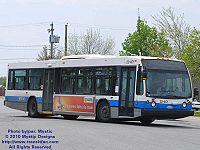 STM 22-401.jpg