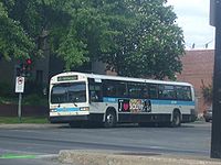 STM 11-002.JPG