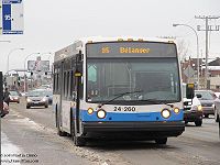 STM 24-260.JPG