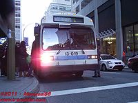 STM-13019.JPG