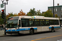 STM 25-246.jpg