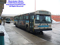 STM-12032.jpg