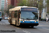 STM 25-202.jpg