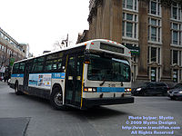 STM-12070.jpg