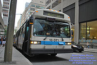 STM-13071.jpg