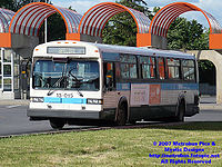 STM-13015.jpg