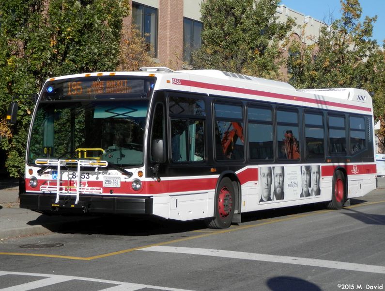 File:TTC 8453.jpg