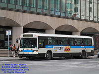 STM-13075.jpg