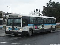 STM 11-063.JPG