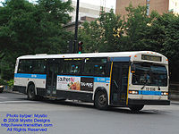 STM-13098.jpg