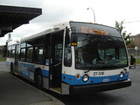 STM 27-516.JPG
