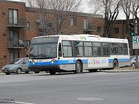 STM 21-202.jpg