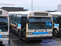 STM-12047.jpg