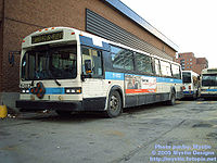 STM-11033.jpg