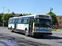 STM-13083.jpg