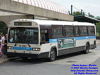 STM-13093.jpg