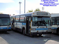 STM-11098.jpg