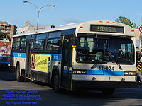 STM-13024.jpg