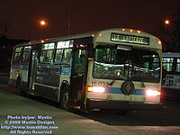 STM-11032.jpg