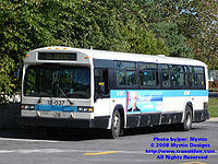 STM-12037.jpg