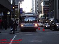 STM-13051.jpg