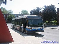 STM 24-202.jpg