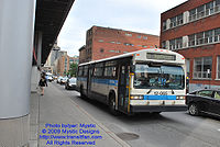 STM-12065.jpg