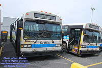 STM-13054.jpg
