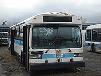 STM 11-061.JPG