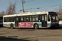 STM 21-223.jpg
