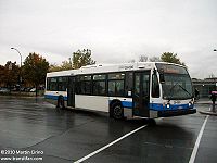 STM 28-080.JPG