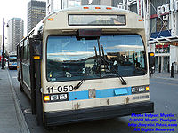 STM-11050.jpg