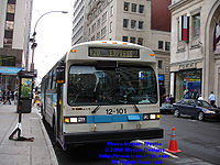 STM-12101.jpg