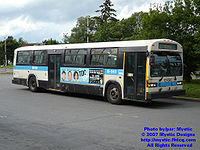 STM-12040.jpg