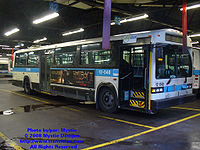STM-12048.jpg