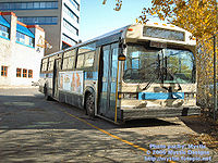 STM-12071.jpg